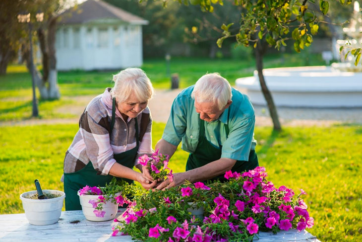 Active Older Adult Activities  Andover, MN - Official Website