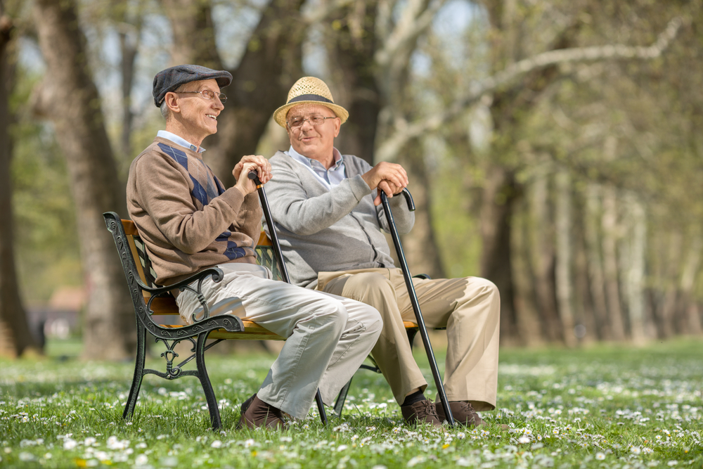 Two,Old,Friends,Sitting,On,A,Wooden,Bench,In,Park